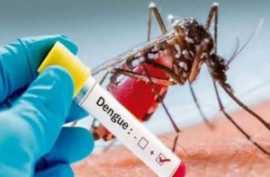 Read more about the article डेंगू के बुखार को नॉर्मल फीवर समझकर इग्नोर न करें, हो सकता है खतरनाक, जानिए लक्षण व बचाव