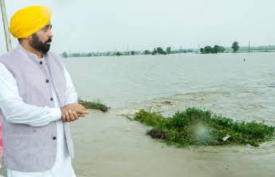 You are currently viewing बारिश के कारण प्रभावित हुए लोगों को नुकसान के एक-एक पैसे की भरपाई की जाएगी- CM भगवंत मान