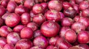 Read more about the article प्याज की बढ़ती कीमतों ने निकाले जनता के आंसू