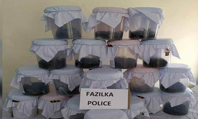 You are currently viewing पंजाब पुलिस ने एक अंतरराज्यीय नशा पदार्थ तस्करी गिरोह का किया भंडाफोड़, 66 किलो अफीम बरामद