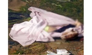 Read more about the article जालंधर में बस्ती बावा खेल नहर से मिला बच्ची का शव , फैली सनसनी