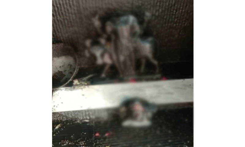 Read more about the article जालंधर के सोढल रोड पर स्थित मंदिर में बेअदबी की घटना , पुजारी से की मारपीट