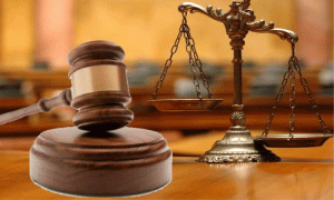 Read more about the article HOLIDAY : पंजाब में इतने दिन बंद रहेंगे कोर्ट, जानें कब होगी सुनवाई