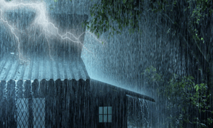 Read more about the article पंजाब में 4 दिनों के लिए भारी बारिश का येलो अलर्ट जारी,  इन जिलों के लोग रहे सावधान