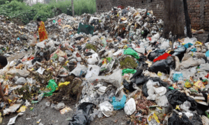 Read more about the article अर्बन एस्टेट फेज़-II, जालंधर में अवैध कूड़ा-घर के खिलाफ निवासियों ने स्थायी लोक अदालत का दरवाज़ा खटखटाया