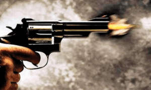 Read more about the article दामाद ने सास को गोली मार उतारा मौत के घाट, बाल-बाल बची पत्नी