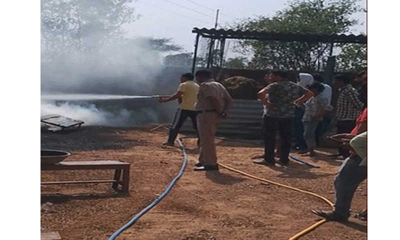 फार्म में लगी भयानक आग, एक साथ जिंदा जली 122 बकरियां